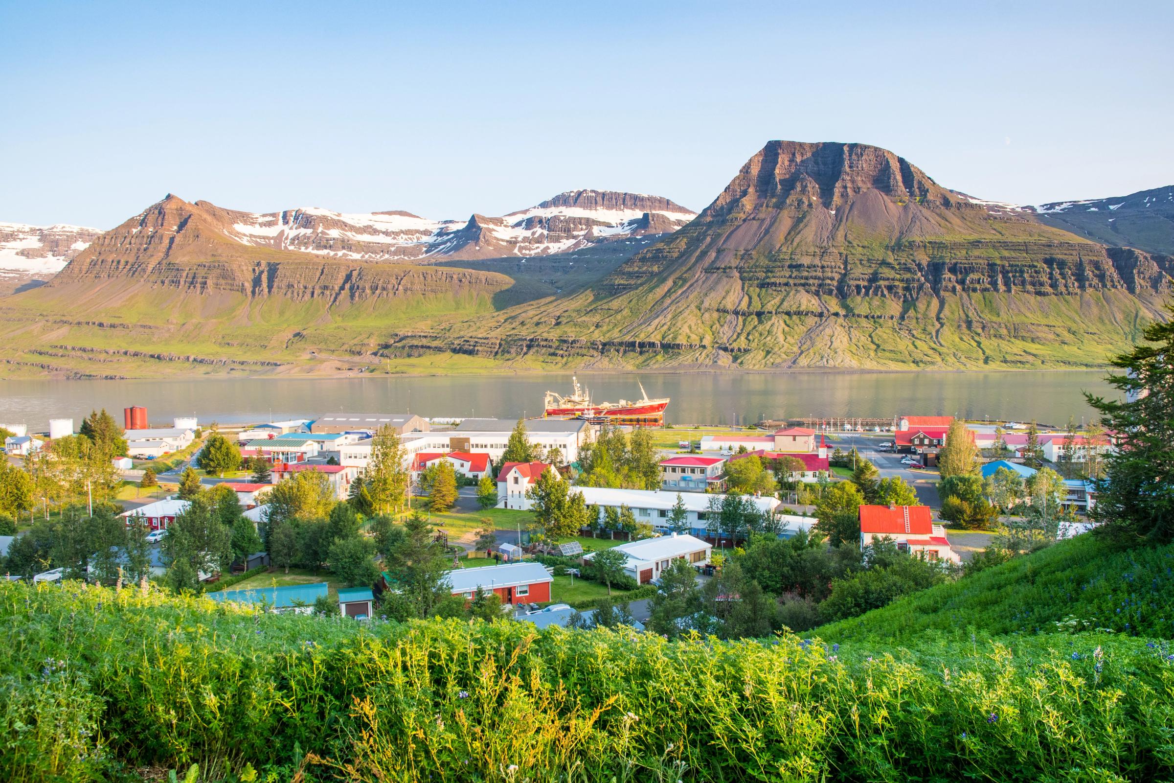 Town of Reydarfjordur in east Iceland