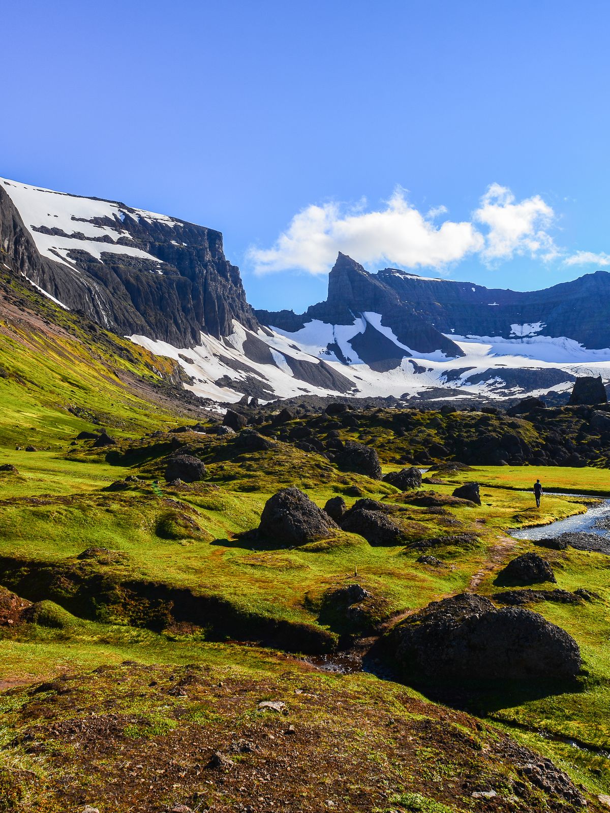 a person is standing next to a stream in the mountains .
