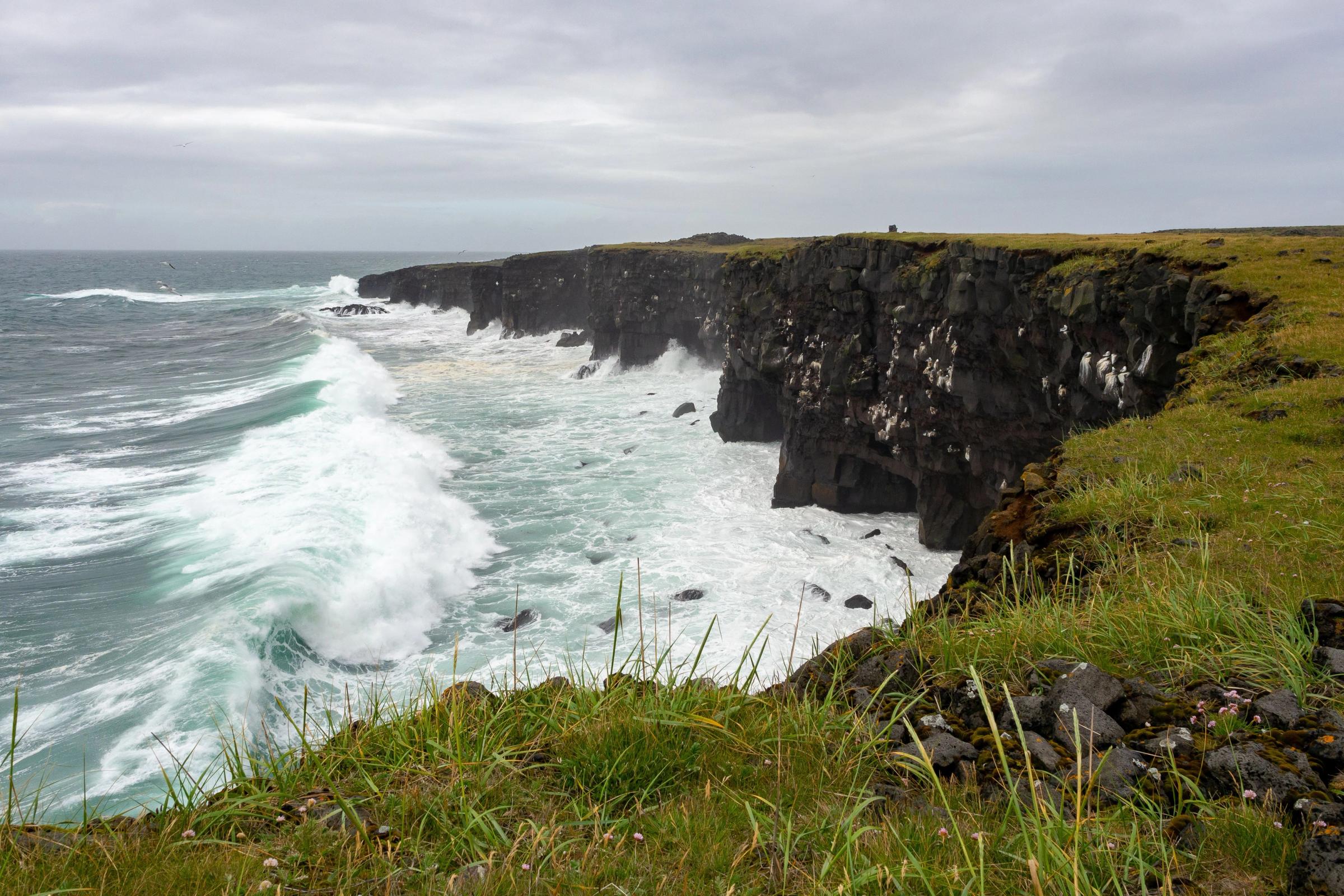 View on sea cliffs and the ocean, Hafnarberg, in Iceland