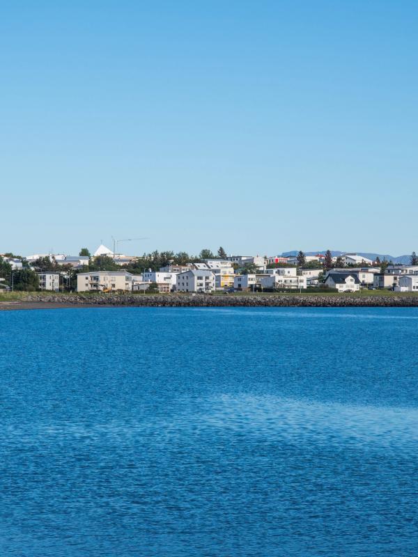 a large body of water with a city in the background .