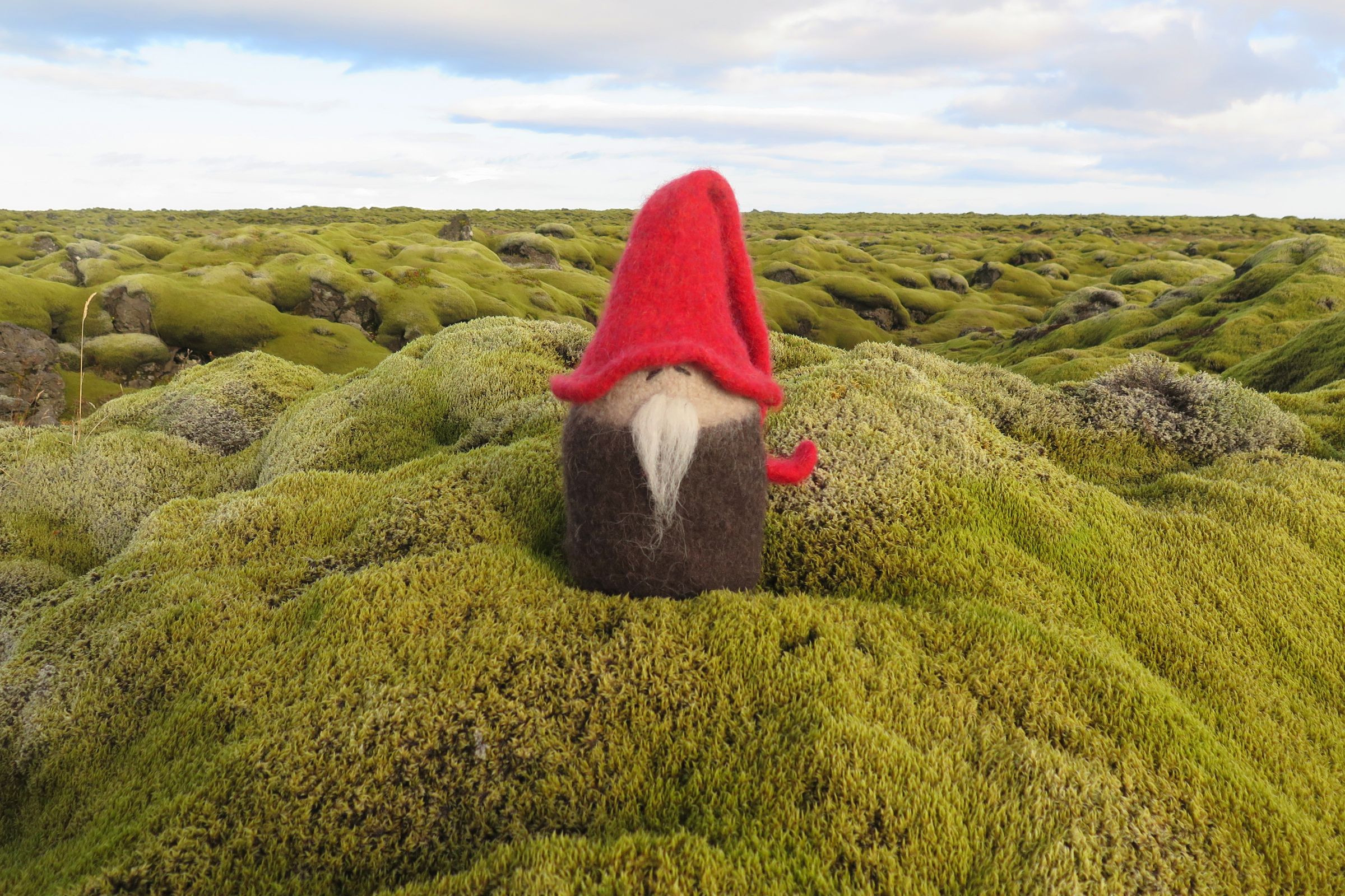 a doll elve on a moss field
