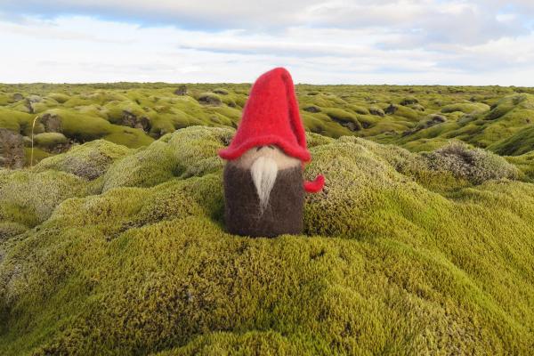 a gnome wearing a red hat is sitting in a pile of moss .