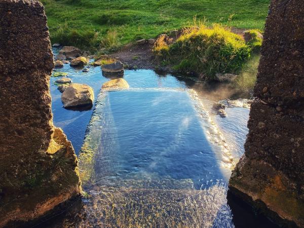 una piscina de agua está rodeada de rocas y césped
