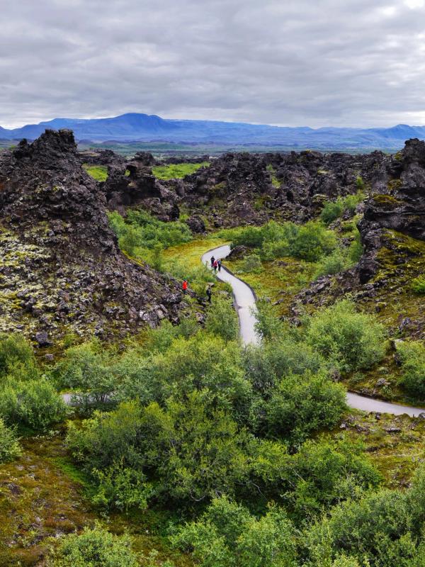 Winding paths through a volcanic field of dark, jagged rocks covered in green moss and shrubs, with people walking and distant mountains under a cloudy sky.