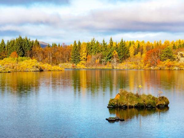 a lake with a autumn colored forest in the background