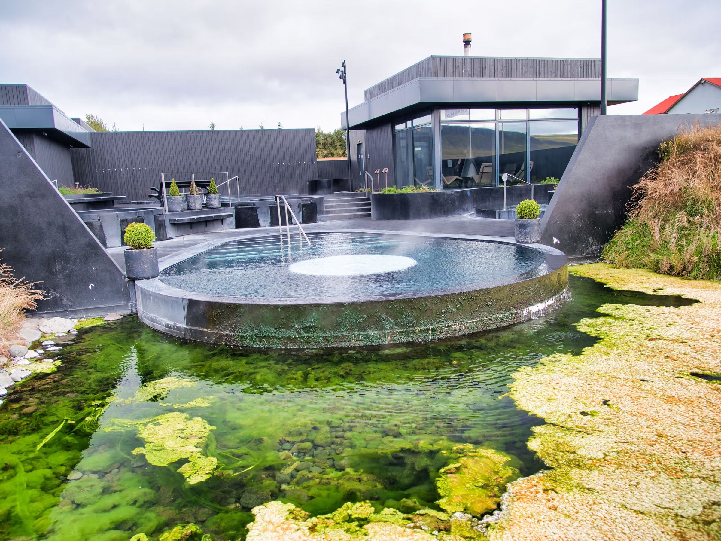 there is a large pool in the middle of a pond surrounded by plants .
