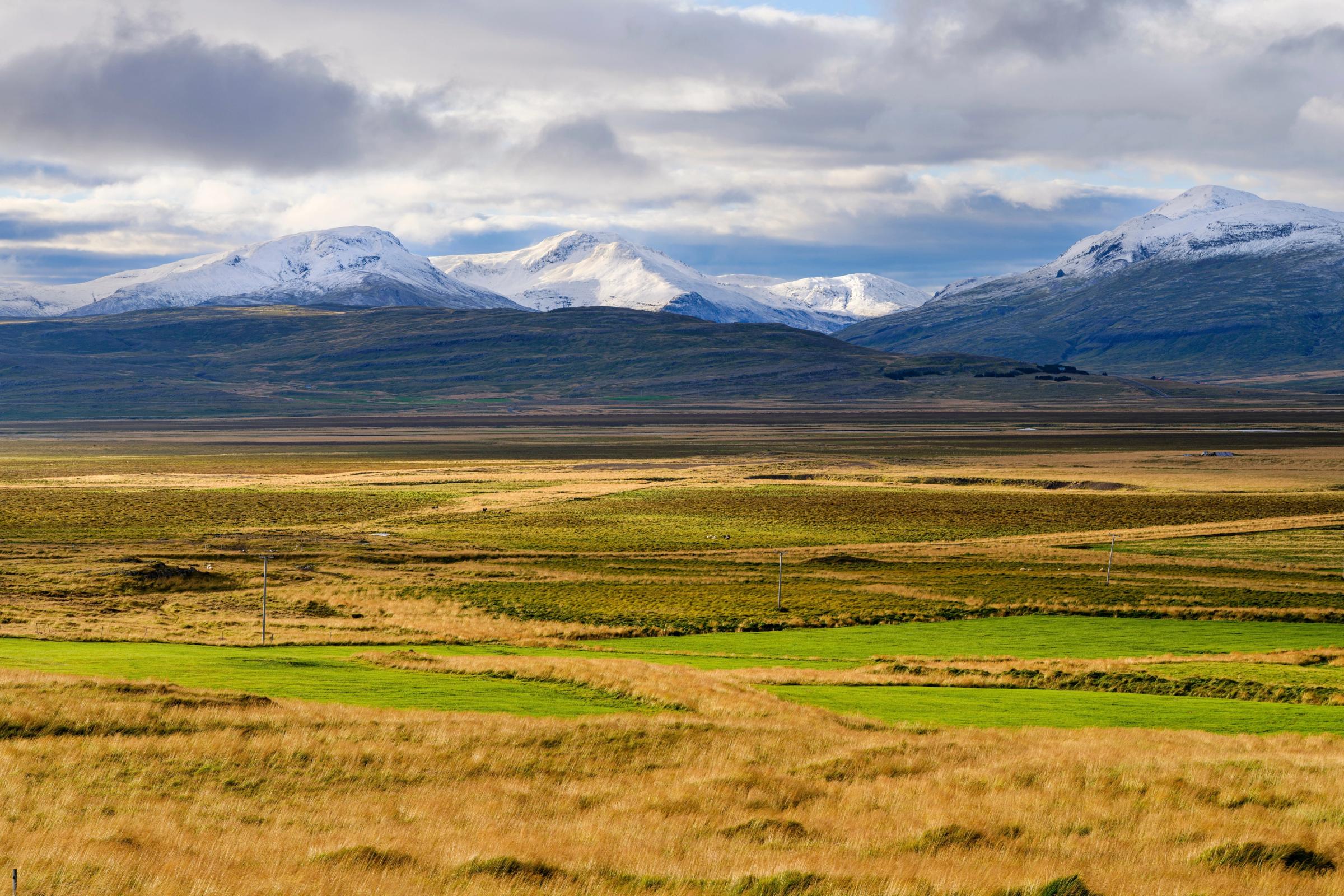 a landscape with a meadow and snowy mountains on the background