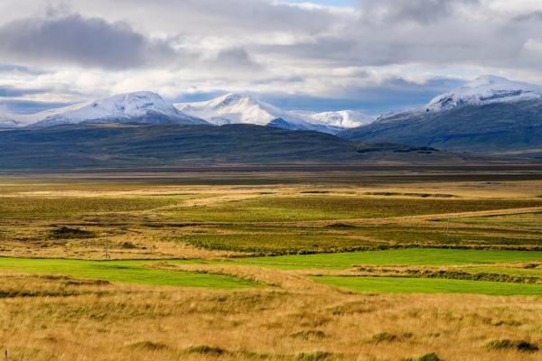 un paisaje con una pradera y montañas nevadas al fondo