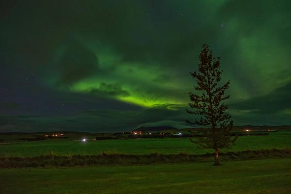 Bright green aurora borealis illuminates a dark night sky above a lone tree in a green field with distant village lights.