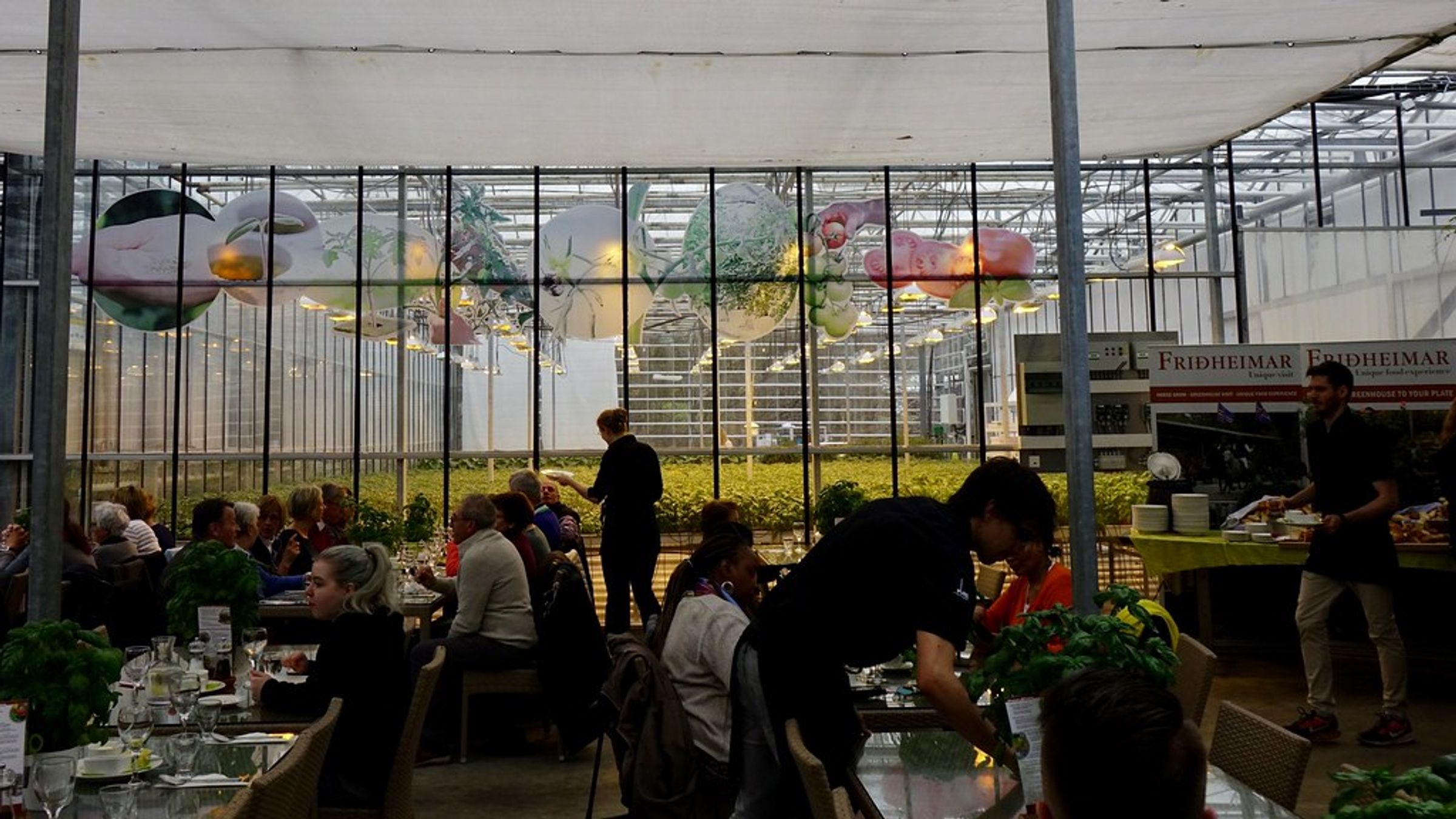 People dining in a greenhouse restaurant decorated with illuminated spheres.
