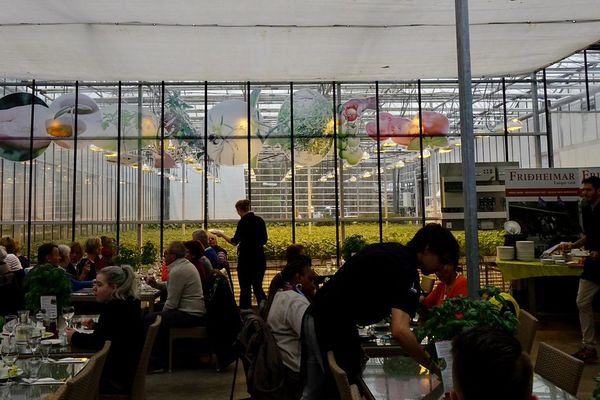 People dining in a greenhouse restaurant decorated with illuminated spheres.