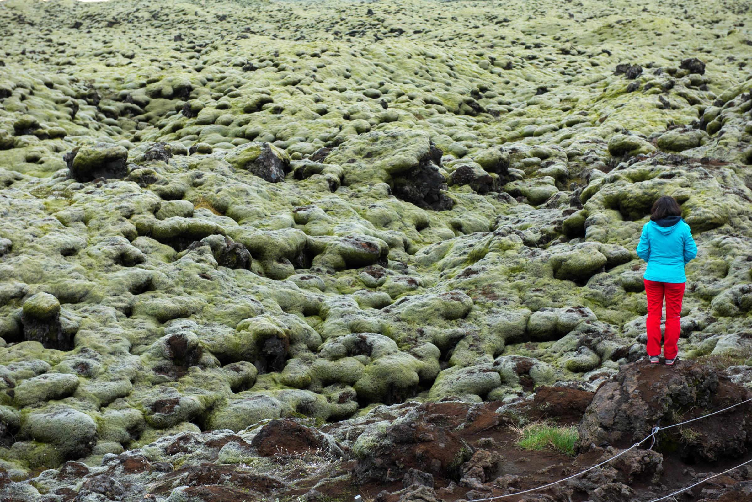 Una persona con chaqueta azul y pantalones rojos está de pie sobre una colina rocosa, contemplando un vasto paisaje cubierto de un espeso musgo verde.
