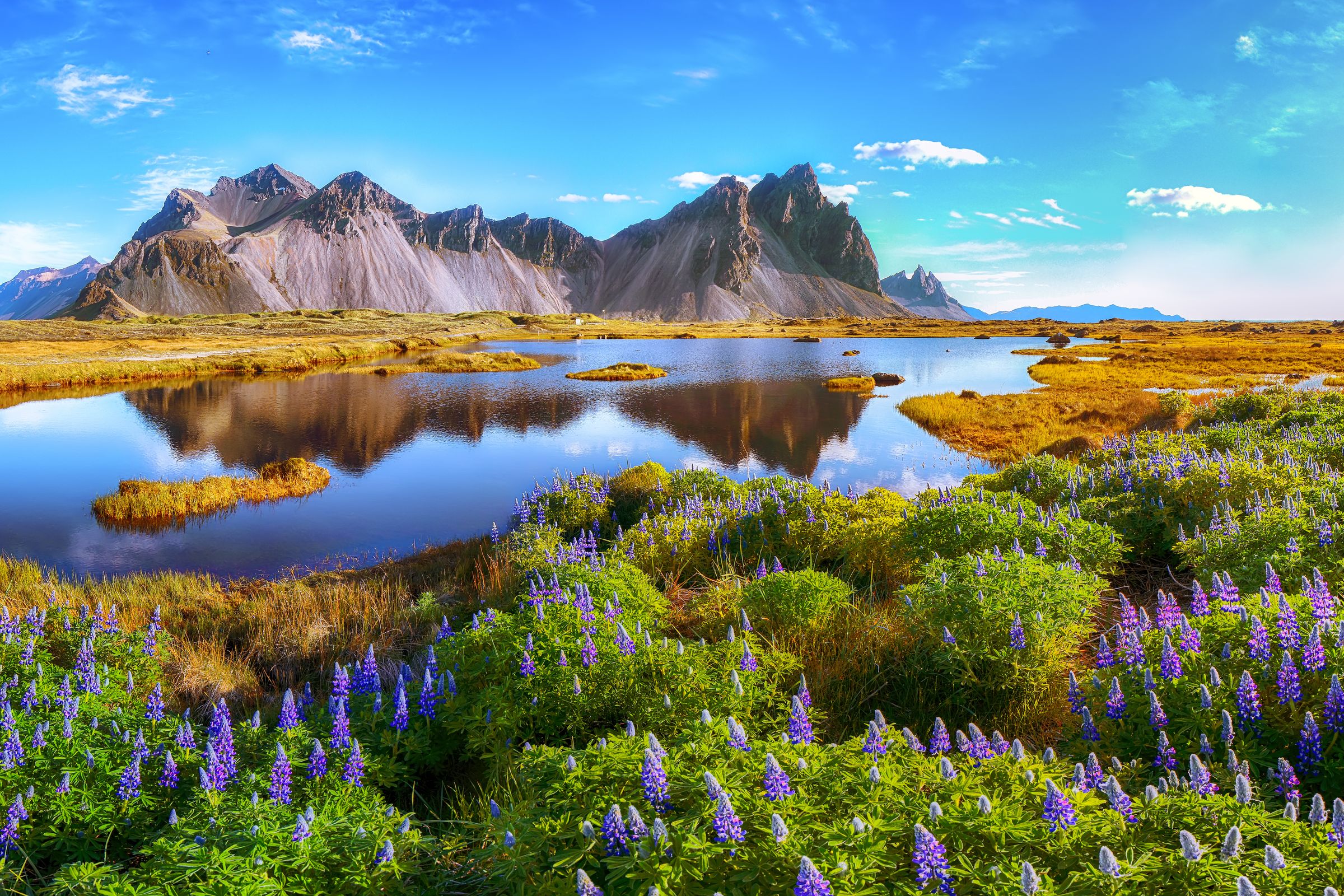 there is a lake in the middle of a field with mountains in the background .