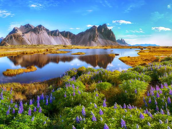 there is a lake in the middle of a field with mountains in the background in iceland.