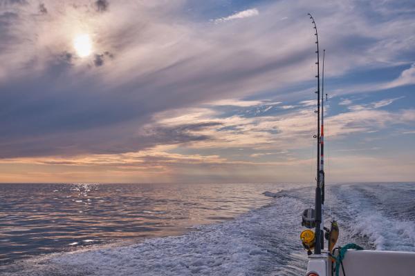 Rod fishing, Iceland sunset, last moment of fishing with rod