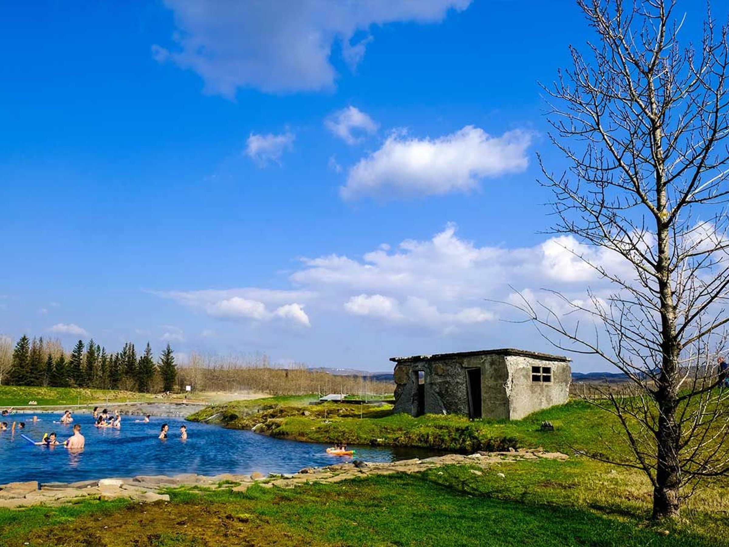 People swimming in a natural hot spring next to a dilapidated concrete building and a bare tree under a clear blue sky.
