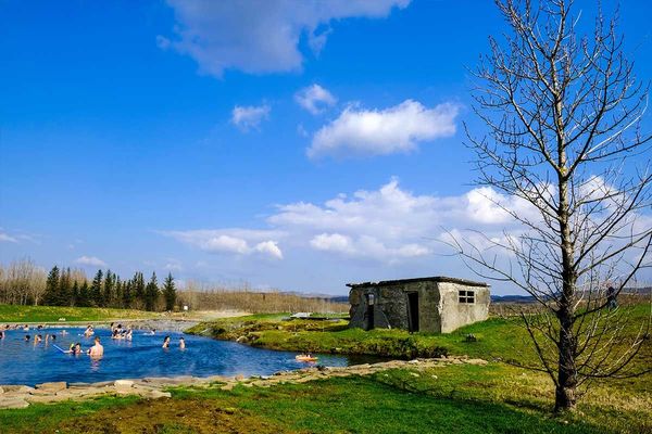 A natural hot spring with people swimming, a dilapidated hut, and a bare tree under a bright blue sky.