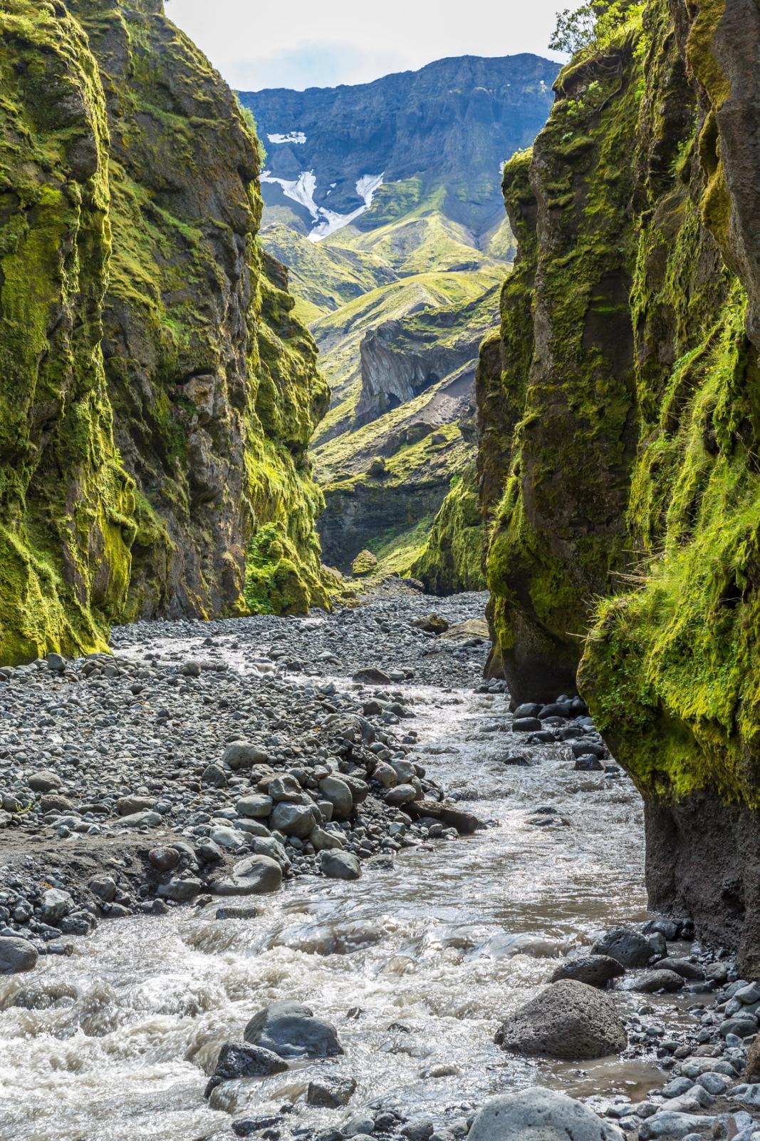 a river flowing through a canyon with mountains in the background