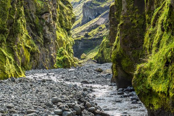 a river flowing through a canyon with mountains in the background