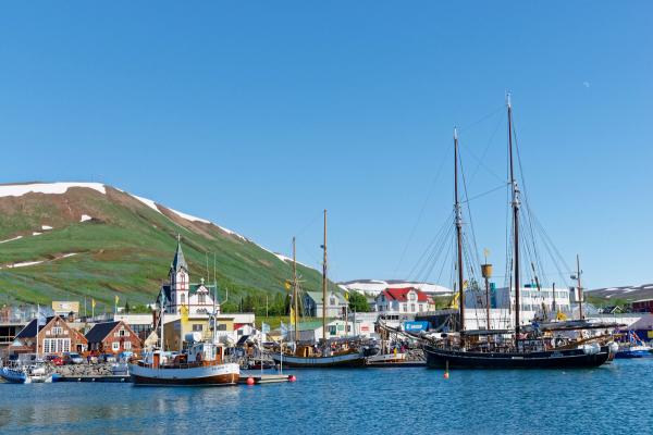 a coastal town with fishing boats and a mountain in the background