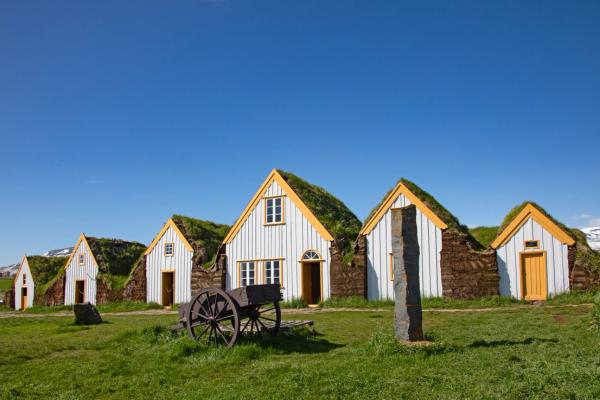 una fila de casas con césped en los techos en un campo .