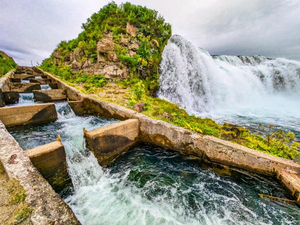 A concrete fish ladder cascades down a green hill next to a powerful natural waterfall.