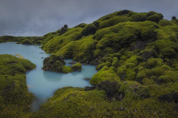 Bright green moss covers undulating lava fields with pale blue water pools under a grey sky.