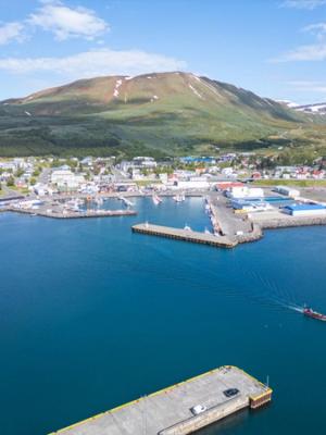 an aerial view of a small town in the middle of a large body of water .