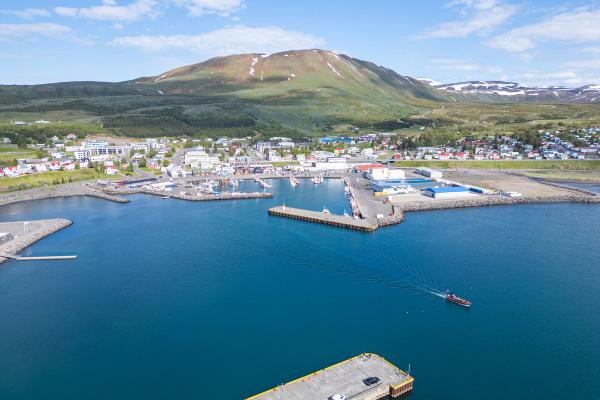 Pequeño pueblo costero con una montaña verde detrás