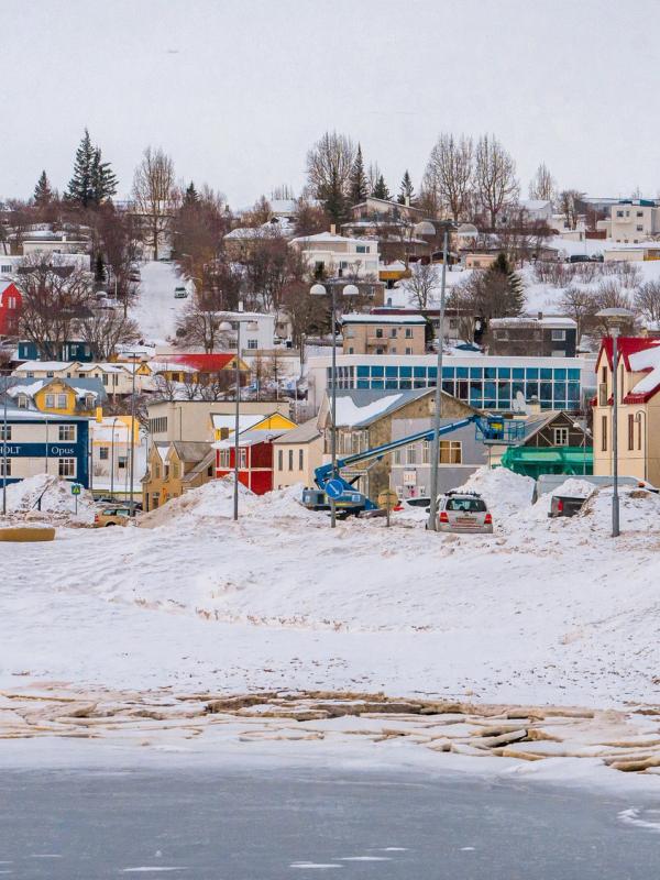 A winter scene shows a town with colorful buildings on a snow-covered hillside overlooking an icy bay.