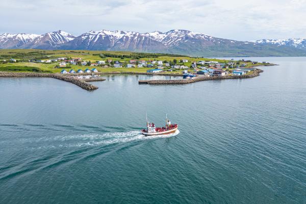 Aerial view of whale watching safari boats near island of Hrisey