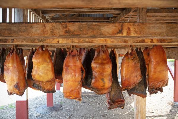 Hákarl hanging down to dry