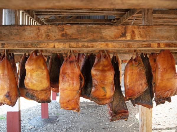 Icelandic fermented shark