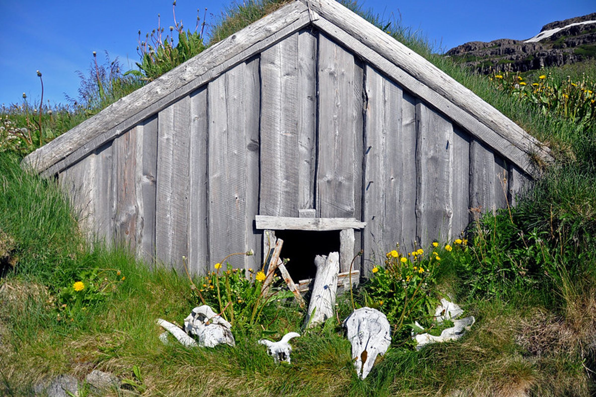 un cottage de madera cubierto de hierba y musgo