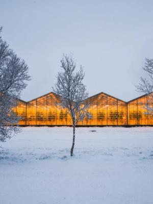 un invernadero está iluminado en la nieve con árboles delante de él.