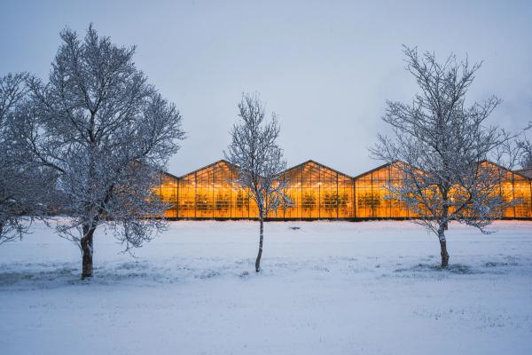 A warmly lit greenhouse stands in a snowy field with frosted trees.