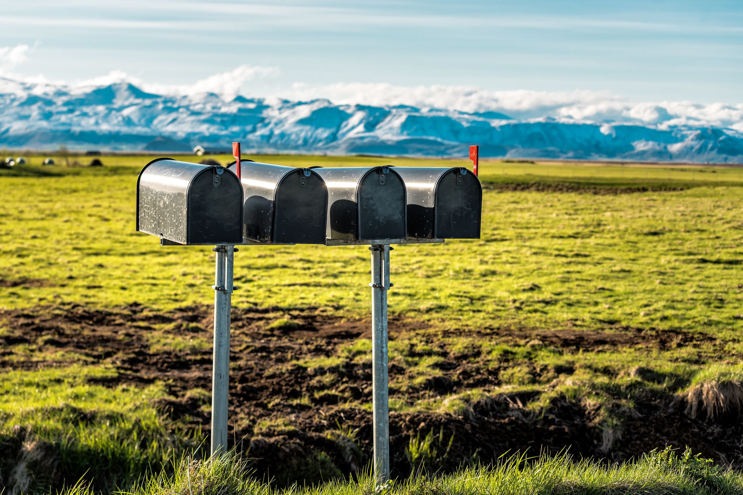 Four dark mailboxes in a green field with snow-capped mountains in the background.