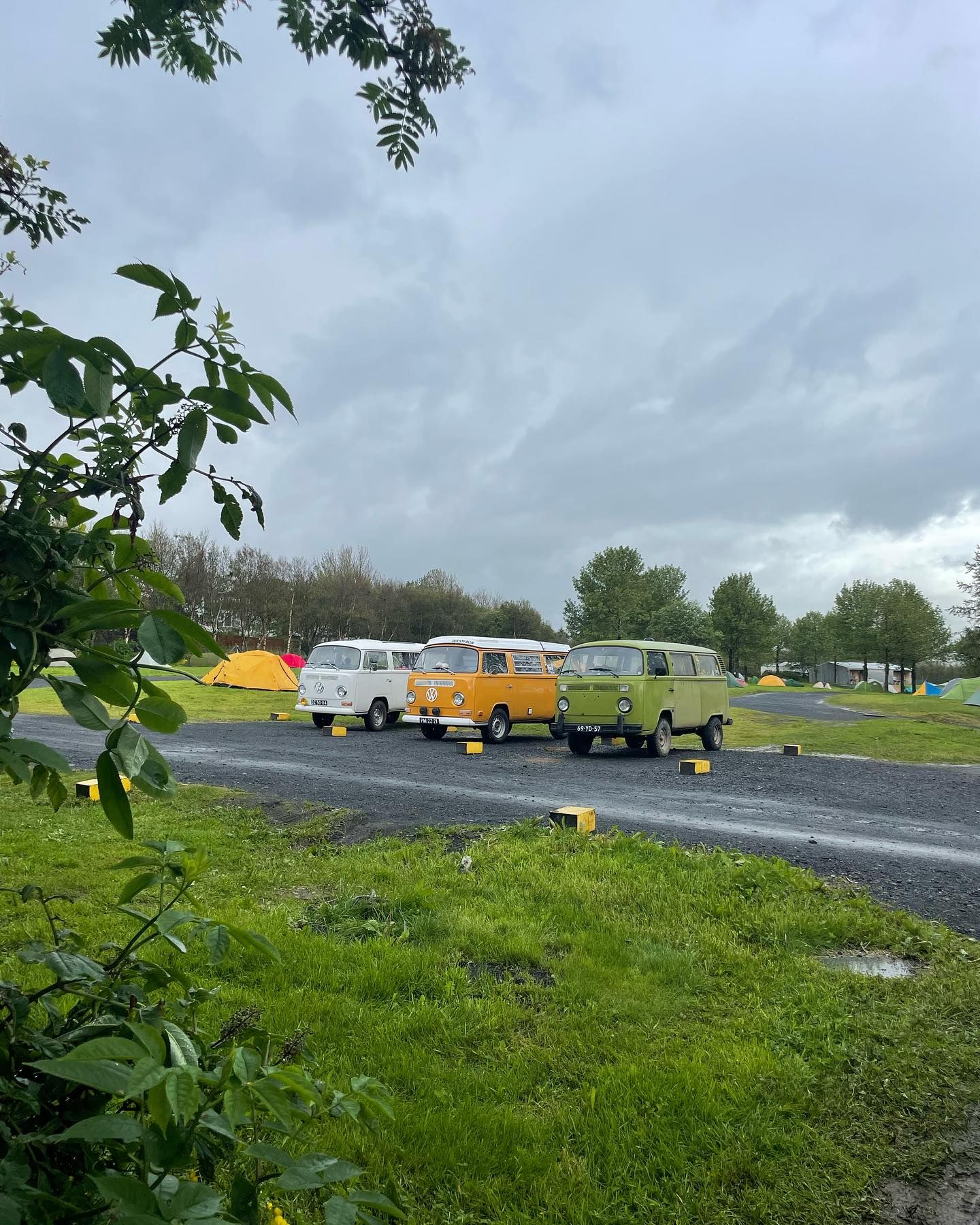 Three campers on a campsite with tents behind them