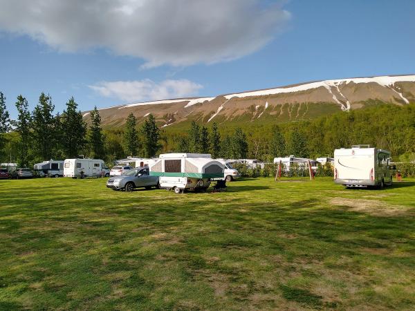 un grupo de autocaravanas está aparcado en un campo cubierto de hierba con una montaña al fondo.
