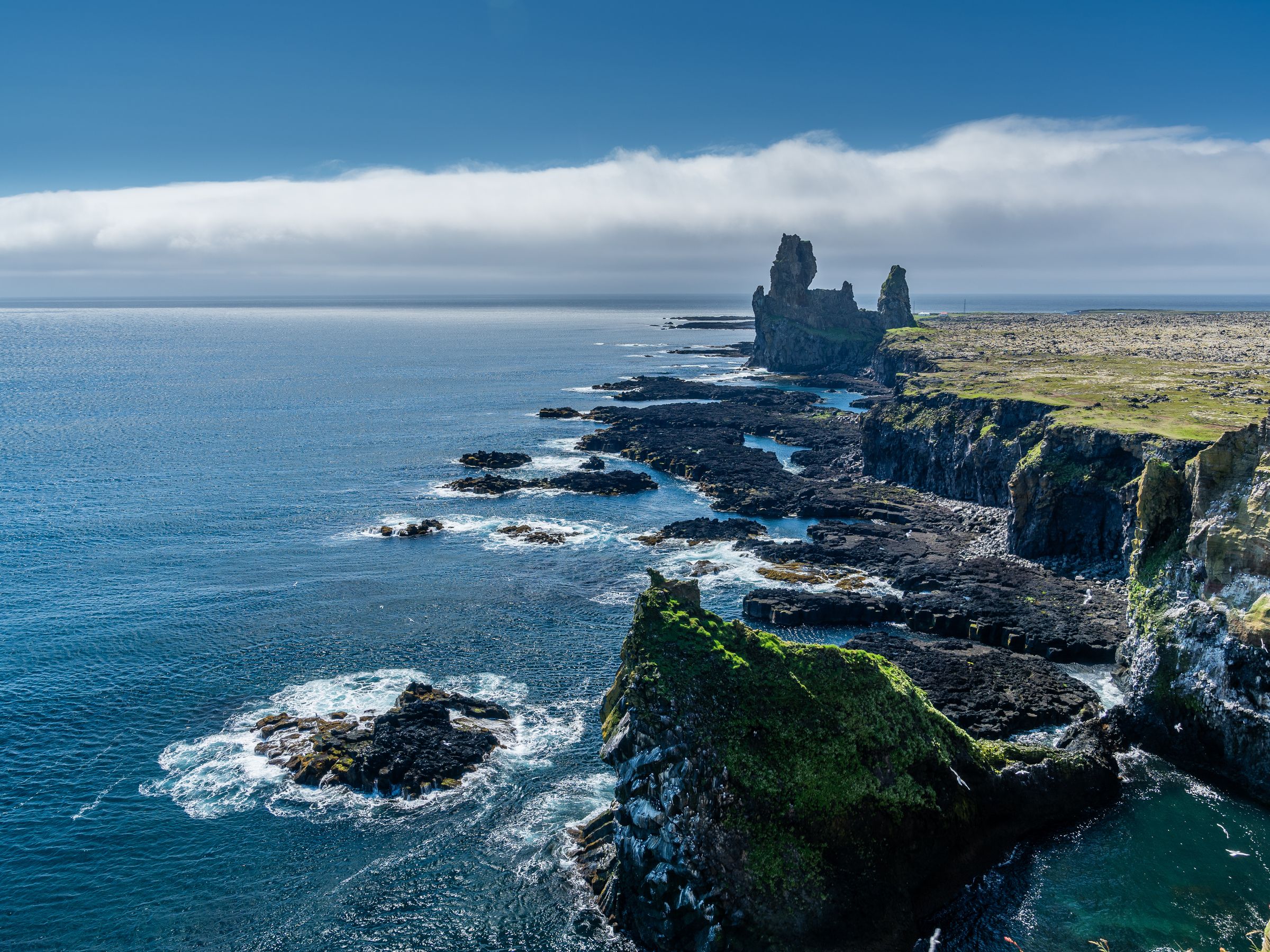 a cliff overlooking the ocean