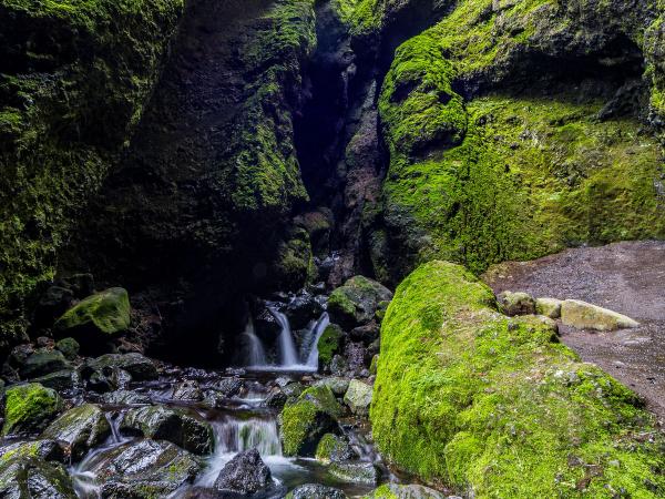 riachuelo saliendo de una pared montañosa cubierta de musgo