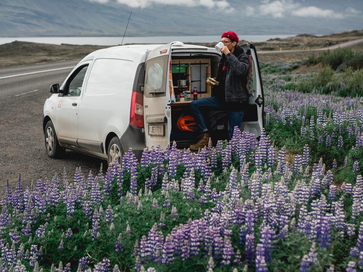 Un homme est assis à l’arrière d’une camionnette dans un champ de fleurs violettes.