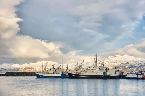 Fishing boats docked in a harbor with snow-capped mountains under a cloudy sky.