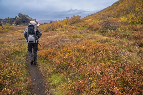 A backpacker walks on a trail through a rocky landscape filled with vibrant autumn foliage.