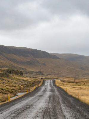 Gravel road in Iceland for rental car Gravel Protection GP Gravel road along icelandic coast during rainy grey weather