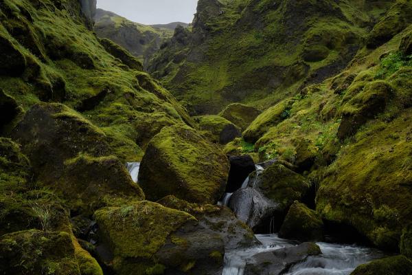 a river flowing through a lush green canyon surrounded by rocks and moss .