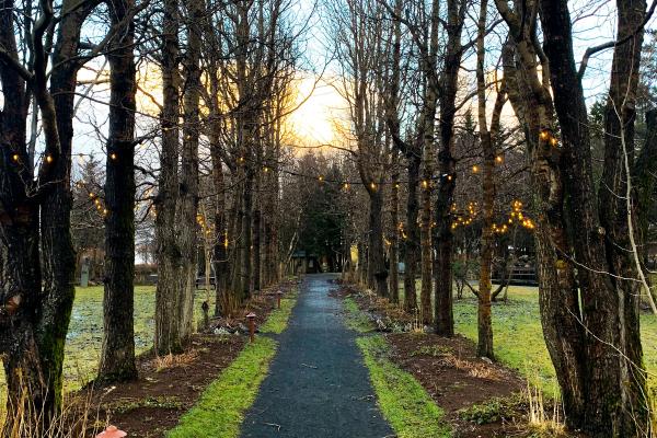 Path in Skallagrímsgarður Park, Borgarnes