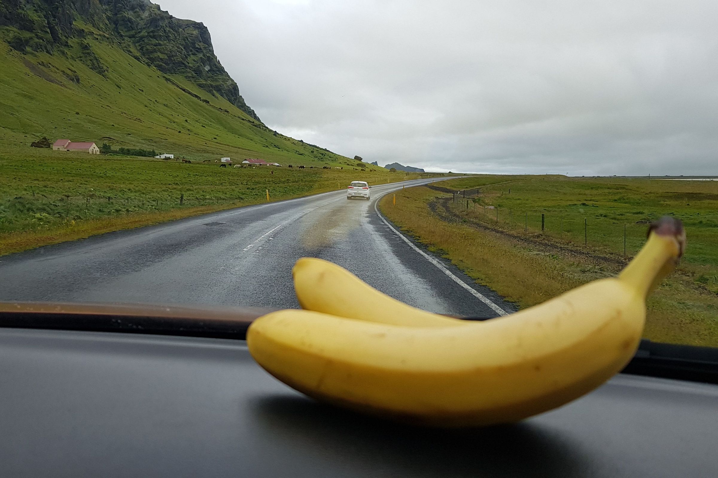 two bananas are sitting on the dashboard of a car .