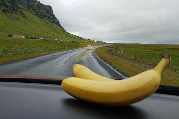 two bananas are sitting on the dashboard of a car .