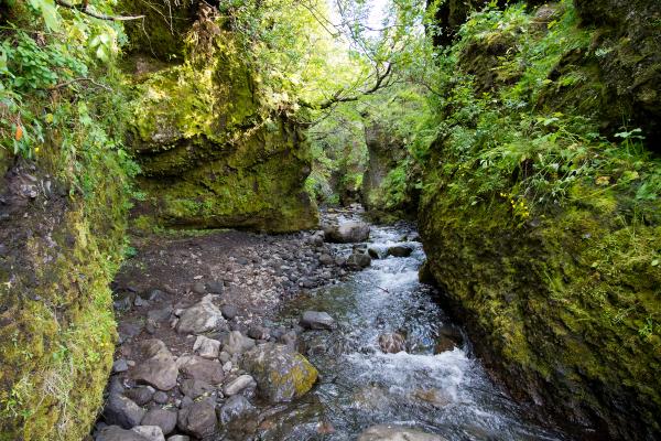 a river running through a narrow canyon surrounded by rocks and moss at nauthúsagil in iceland.